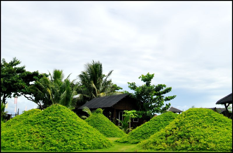 The resort's mini Chocolate Hills — green grass-covered mounds inspired by Bohol