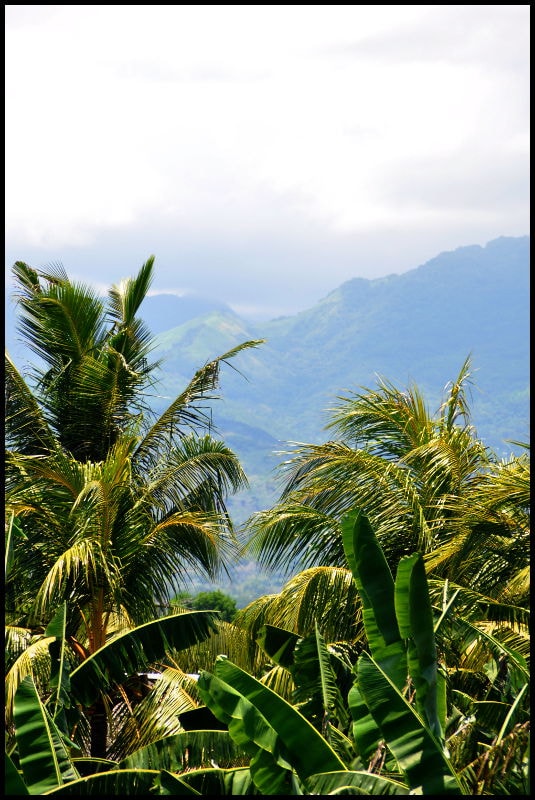 Palms framing distant island mountains across the sea near White Chocolate Hills Resort