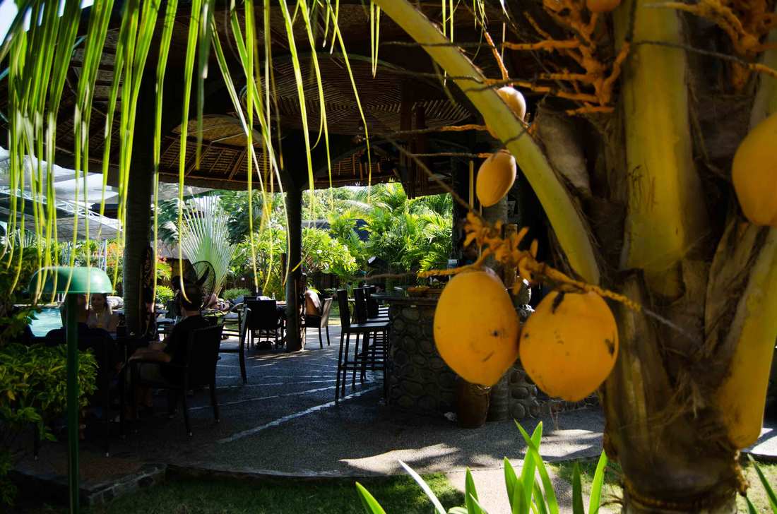The garden and pool beside the Villa Deluxe